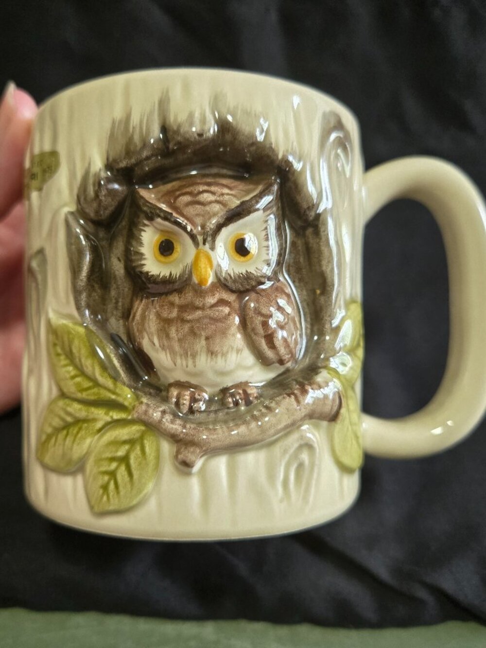 Vintage Hand Painted Owl Mug